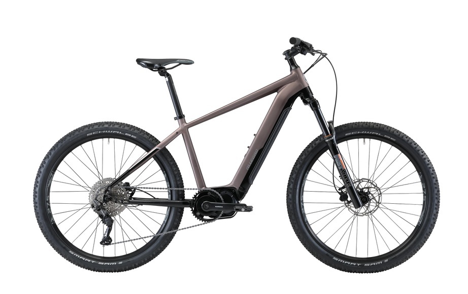 ALLEGRO E-Bike »Pro AXM°04«, Mittelmotor 250 W