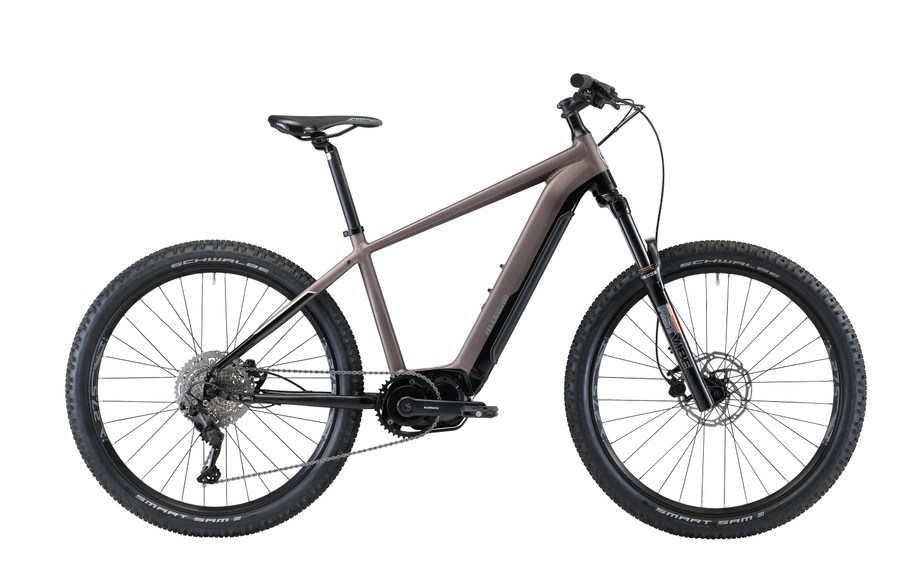 ALLEGRO E-Bike »Pro AXM°04«, Mittelmotor 250 W