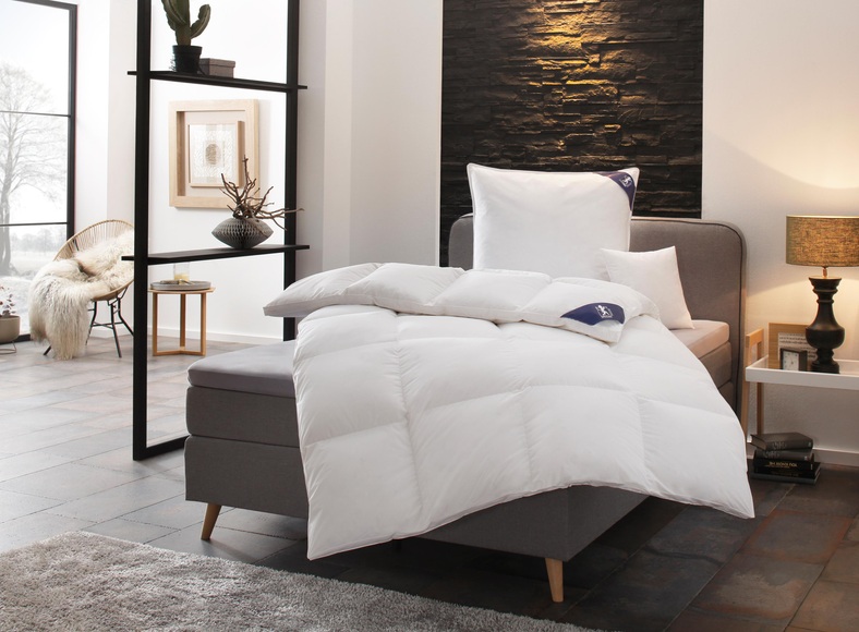 SPESSARTTRAUM Gänsedaunenbettdecke »Premium******«, extrawarm, Füllung 100% Gänsedaunen, Bezug 100% Baumwolle, (1 St.), hergestellt in Deutschland, allergikerfreundlich