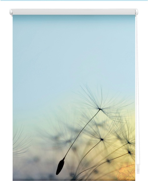 Seitenzugrollo, Lichtblick, »Pusteblume«, Klemmfix, Kettenzug, Lichtschutz, Fixmass, ohne Bohren