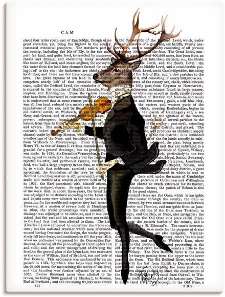 Artland Wandbild »Tanzender Hirsch mit Violine«