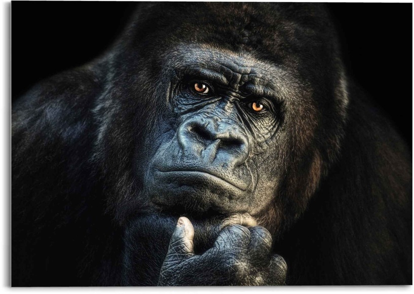 Reinders! Glasbild »Glasbild Gorilla Affe - Kräftig - Nachdenklich«, Affen, (1 St.)
