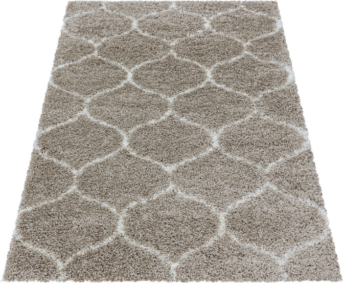 Ayyildiz Teppiche Hochflor-Teppich »SALSA 3201«, rechteckig, 50 mm Höhe, Wohnzimmer