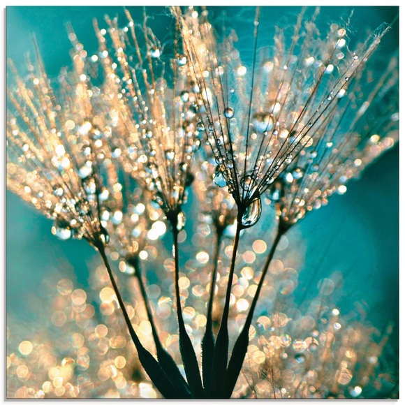 Artland Glasbild »Pusteblume Schirmchen abstrakt«