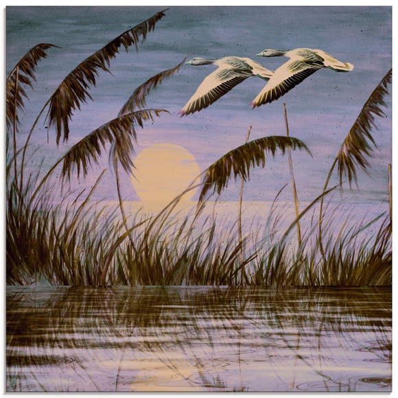 Artland Glasbild »Wildgänse in der Abendsonne«