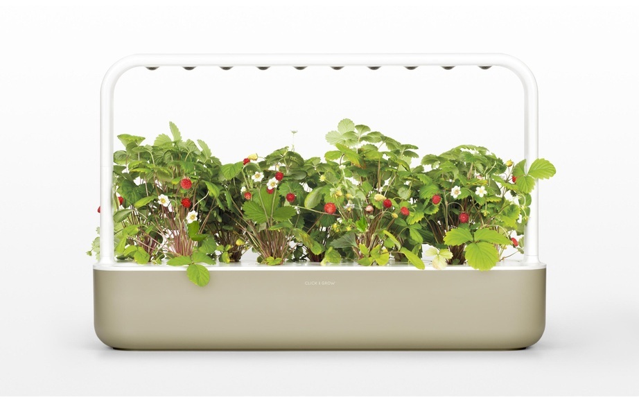 Click and Grow Click and Grow Kr?utertopf Smart