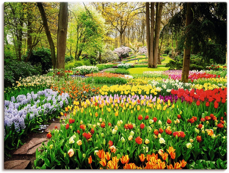 Artland Wandbild »Tulpen Garten Frühling«, Blumenwiese, (1 St.), in vielen Grössen & Produktarten - Alubild / Outdoorbild für den Aussenbereich, Leinwandbild, Poster, Wandaufkleber / Wandtattoo auch für Badezimmer geeignet