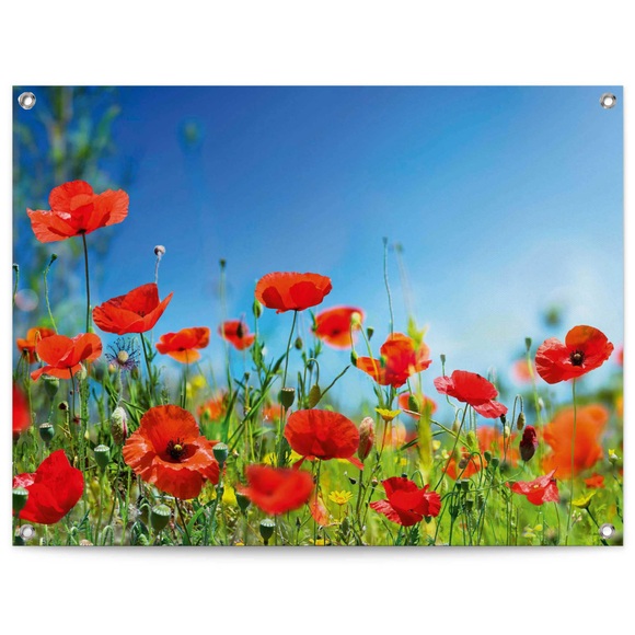 Reinders! Poster »Sommerblumen«, Outdoor für Garten oder Balkon