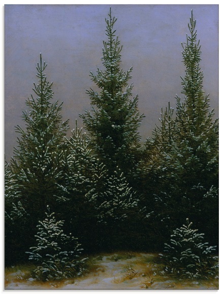 Artland Glasbild »Fichtendickicht im Schnee Dresdner Heide«
