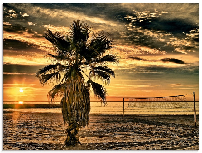 Artland Glasbild »Palme bei Sonnenuntergang«