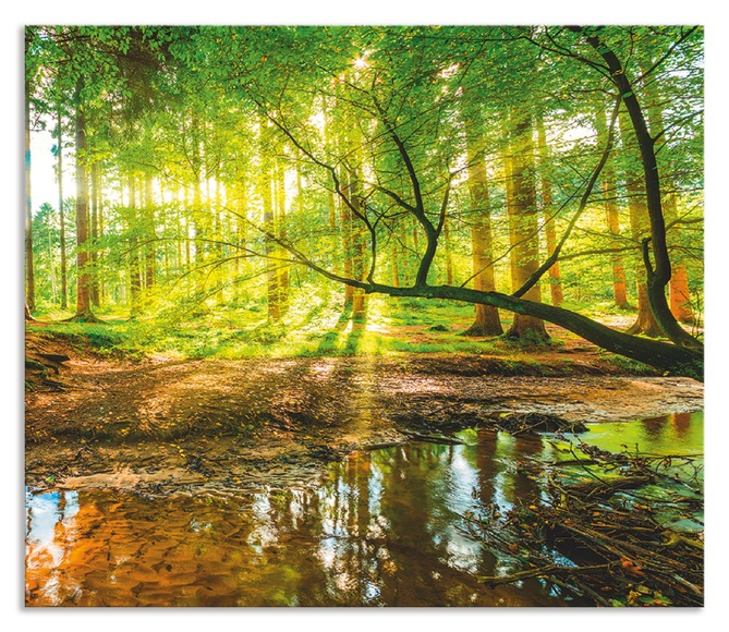 Artland Küchenrückwand »Wald mit Bach«