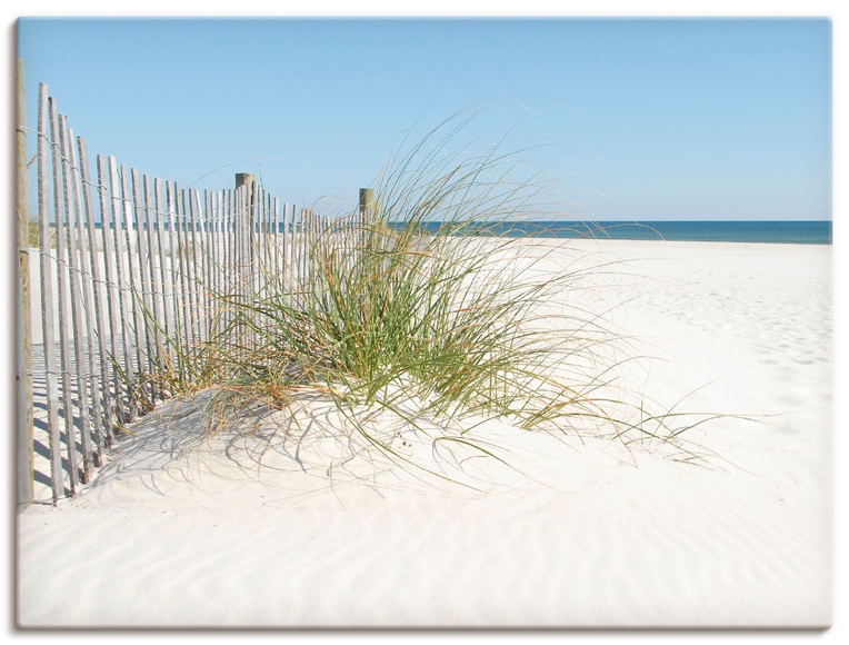 Artland Wandbild »Schöne Sanddüne mit Gräsern und Zaun«