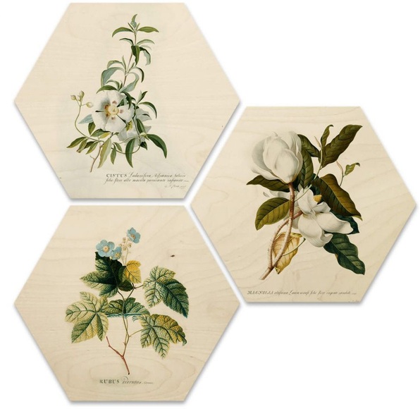 Wall-Art Mehrteilige Bilder »Botanische Collage Blumen Floral« (Set)