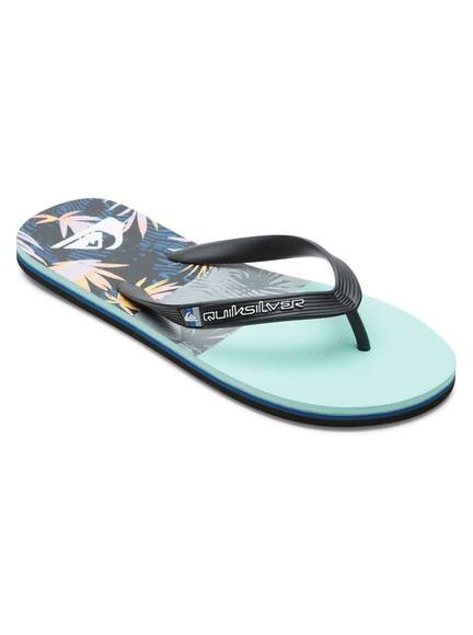 Quiksilver Sandale »Molokai Panel«