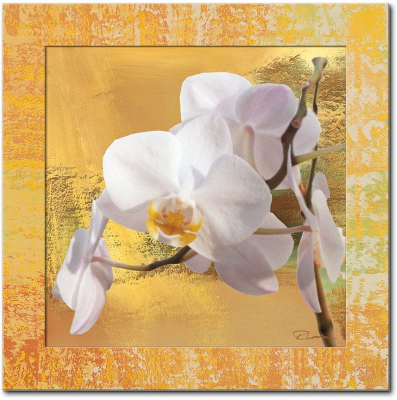 Artland Wandbild »Weisse Orchidee I«, Blumen, (1 St.)