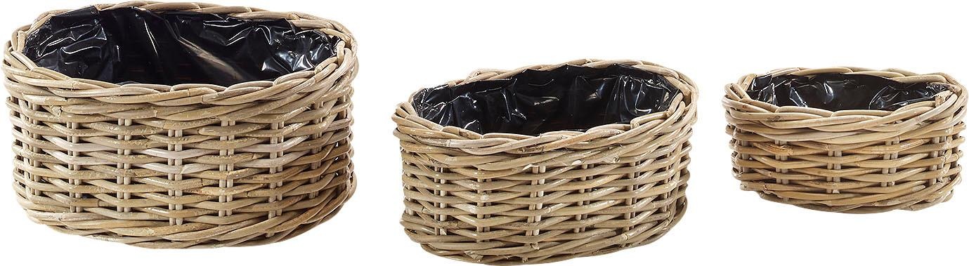 Home affaire Blumenkasten »Pflanzkorb« (3 Stück)
