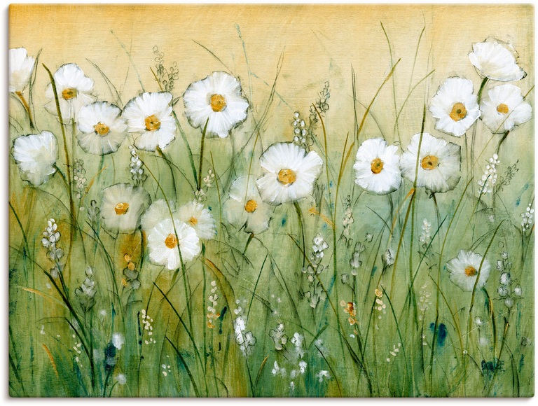 Artland Wandbild »Gänseblümchenfrühling II«