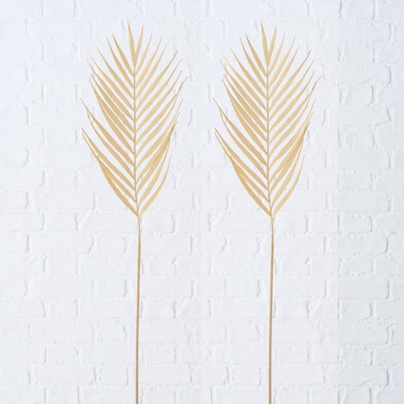 andas Trockenblume »Ragunda«, (Set, 2 St.), Palme, 2er Set
