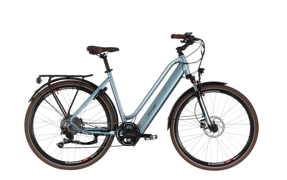 ALLEGRO E-Bike »Alltour ATIL°03«, Heckmotor 250 W