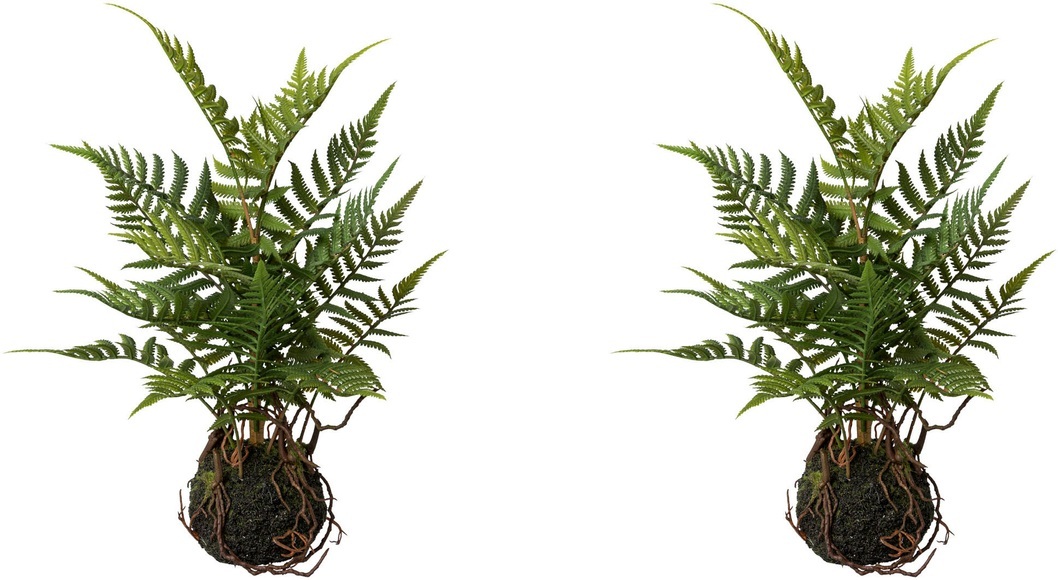 Creativ green Künstliche Zimmerpflanze »Farn im Ballen«, (2 St.)