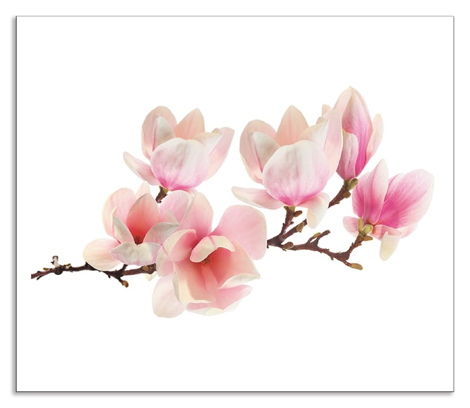 Artland Küchenrückwand »Magnolie«