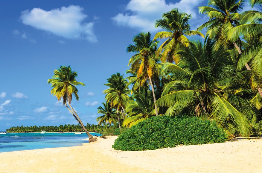Papermoon Fototapete »Exotic Palm Beach«