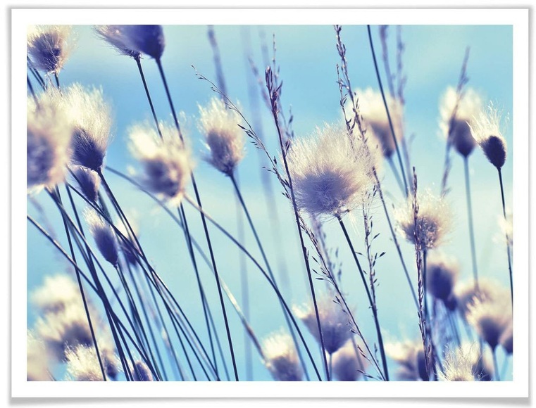 Wall-Art Poster »Wind im Gras«, Landschaften, (1 St.)