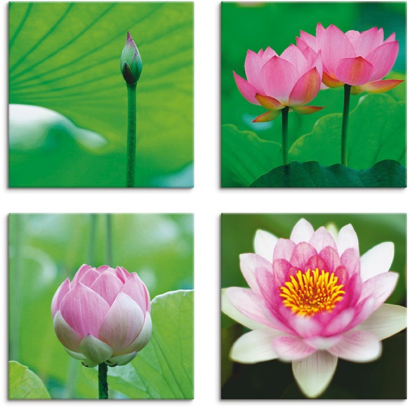 Artland Leinwandbild »Lotusblumen Motive«