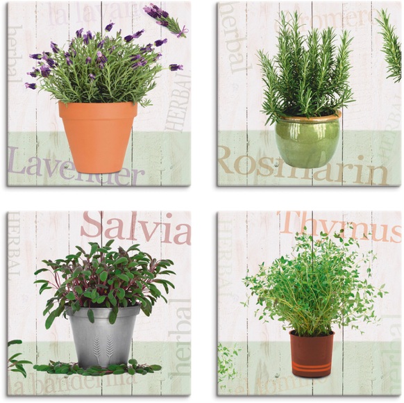 Artland Leinwandbild »Lavendel, Rosmarin, Salbei, Thymian«