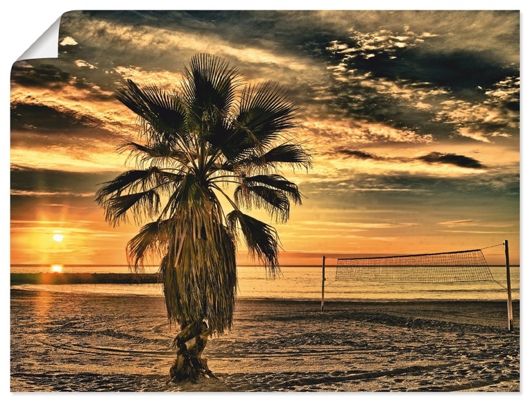 Artland Wandbild »Palme bei Sonnenuntergang«