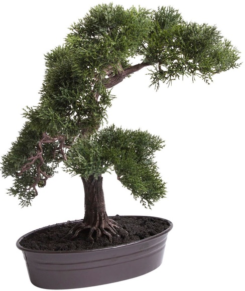 Botanic-Haus Kunstbonsai »Cedern Bonsai«, (1 St.)