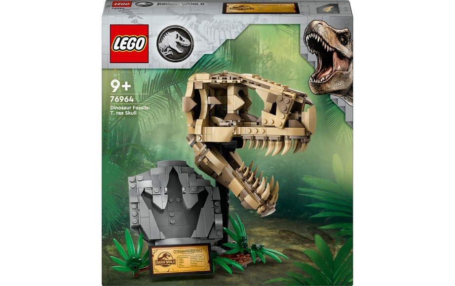 76964 Dinosaurier-Fossilien: T.-rex-Kopf Multicolor