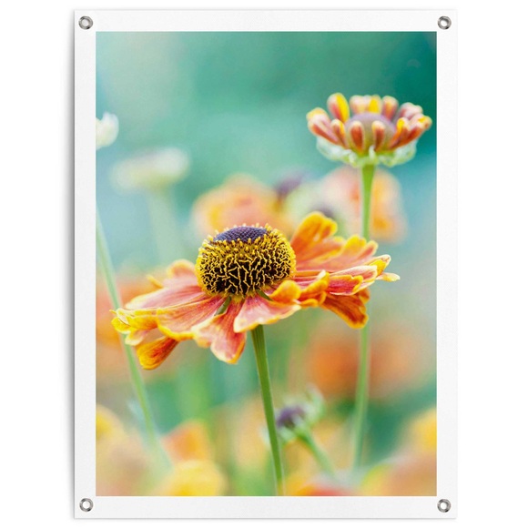 Reinders! Poster »Blume«, Outdoor für Garten oder Balkon