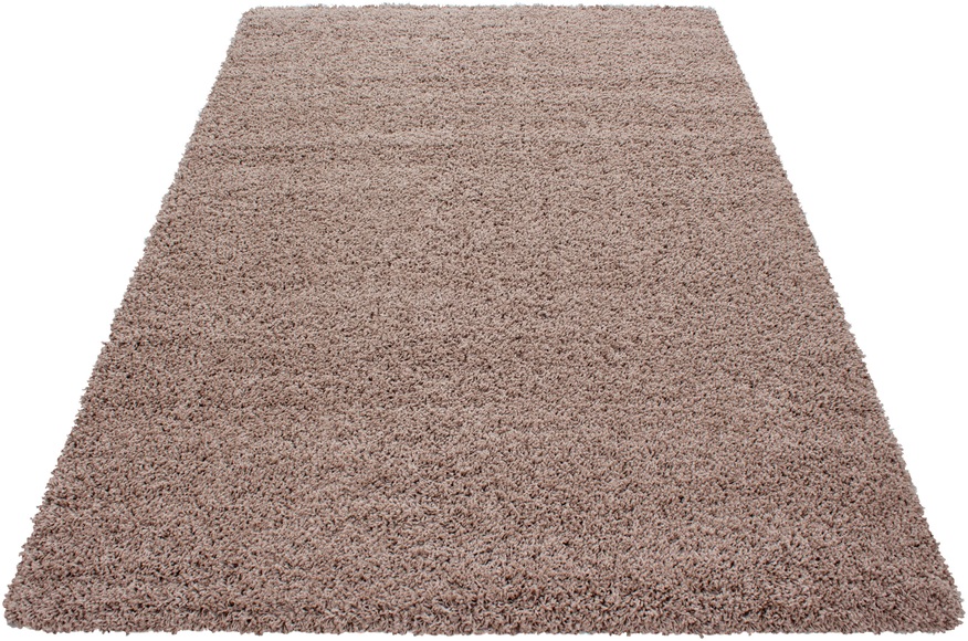 Ayyildiz Teppiche Hochflor-Teppich »Dream Shaggy«, rechteckig, Wohnzimmer