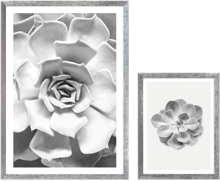 Komar Bild mit Rahmen »Succulent Aeonium«, (2 St.), Hochwertigen Echtholzrahmen. FSC zertifiziert, was eine nachhaltige Forstwirtschaft garantiert.