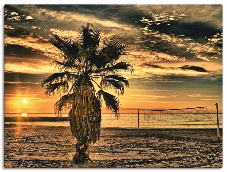 Artland Wandbild »Palme bei Sonnenuntergang«
