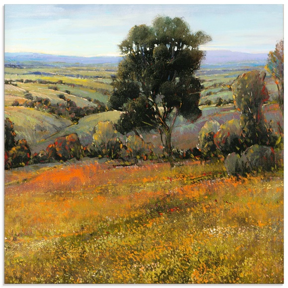 Artland Glasbild »Feld im Sommer«