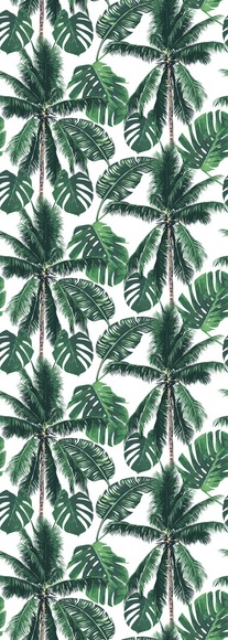 QUEENCE Vinyltapete »Palm Tree«, 90 x 250 cm, selbstklebend
