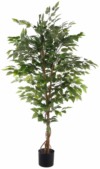 Creativ green Kunstpflanze »Ficus Benjamini« (1 Stück)