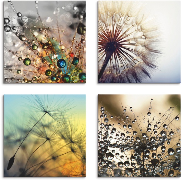 Artland Leinwandbild »Pusteblume,Nahaufnahme Löwenzahn«