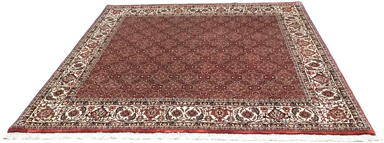 morgenland Wollteppich »Bidjar Teppich handgeknüpft rot«, quadratisch, 15 mm Höhe
