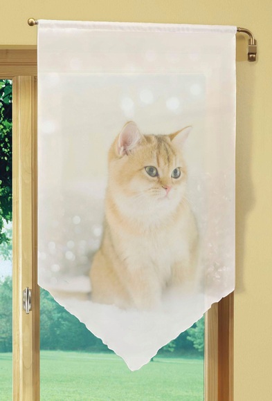 HOME WOHNIDEEN Vorhang »SWEETY«, Fensterbehang Voile digital bedruckt
