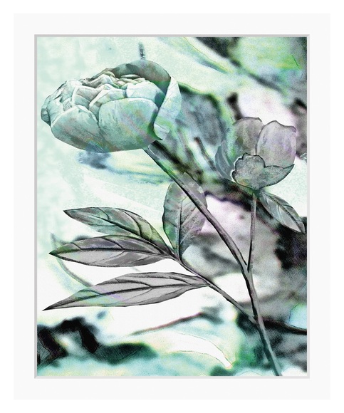 queence Bild »Elise«, Blumen, gerahmt, Rose
