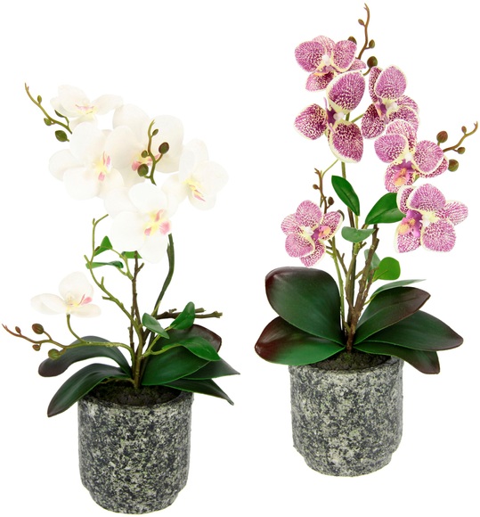 I.GE.A. Kunstpflanze »Orchidee«, Mit Blättern und Luftwurzeln, im Topf aus Keramik, 2er Set