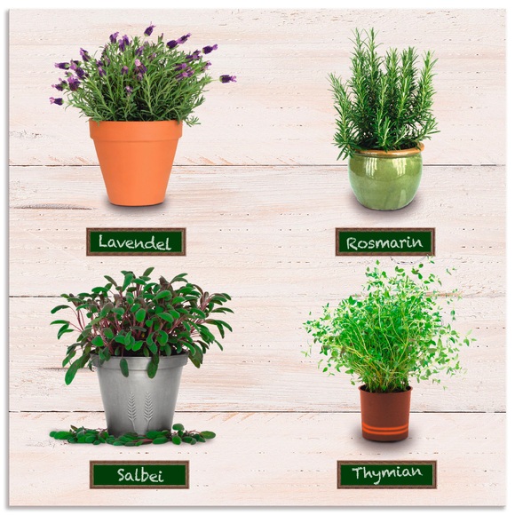 Artland Küchenrückwand »Lavendel Salbei Thymian Rosmarin Kräuter«