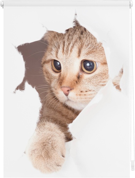 Seitenzugrollo »Klemmfix Digital Katze«, LICHTBLICK, verdunkelnd, ohne Bohren, freihängend