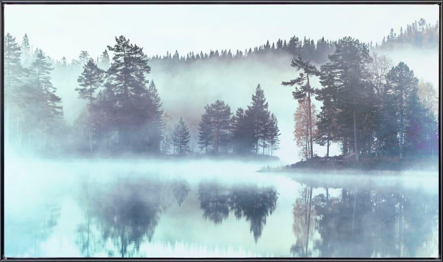 Leinwandbild »Meer im Wald Im Nebel - Leinwandbild«