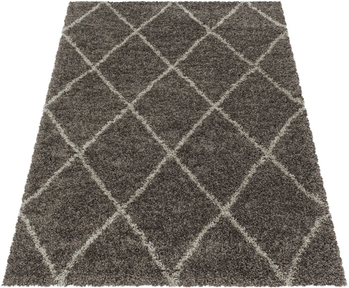Ayyildiz Teppiche Hochflor-Teppich »ALVOR 3401«, rechteckig, 50 mm Höhe, Wohnzimmer