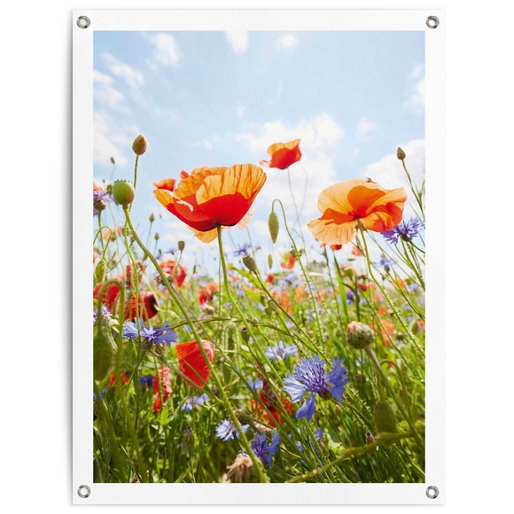 Reinders! Poster »Blumenfeld«, Outdoor für Garten oder Balkon
