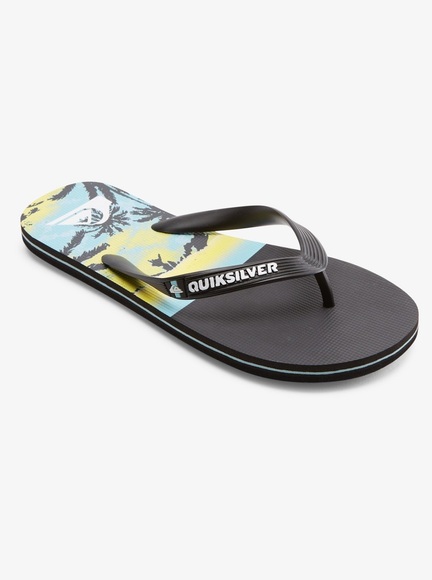 Quiksilver Sandale »Molokai Panel«